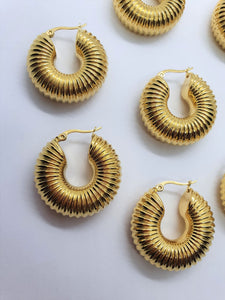 Delia Hoops